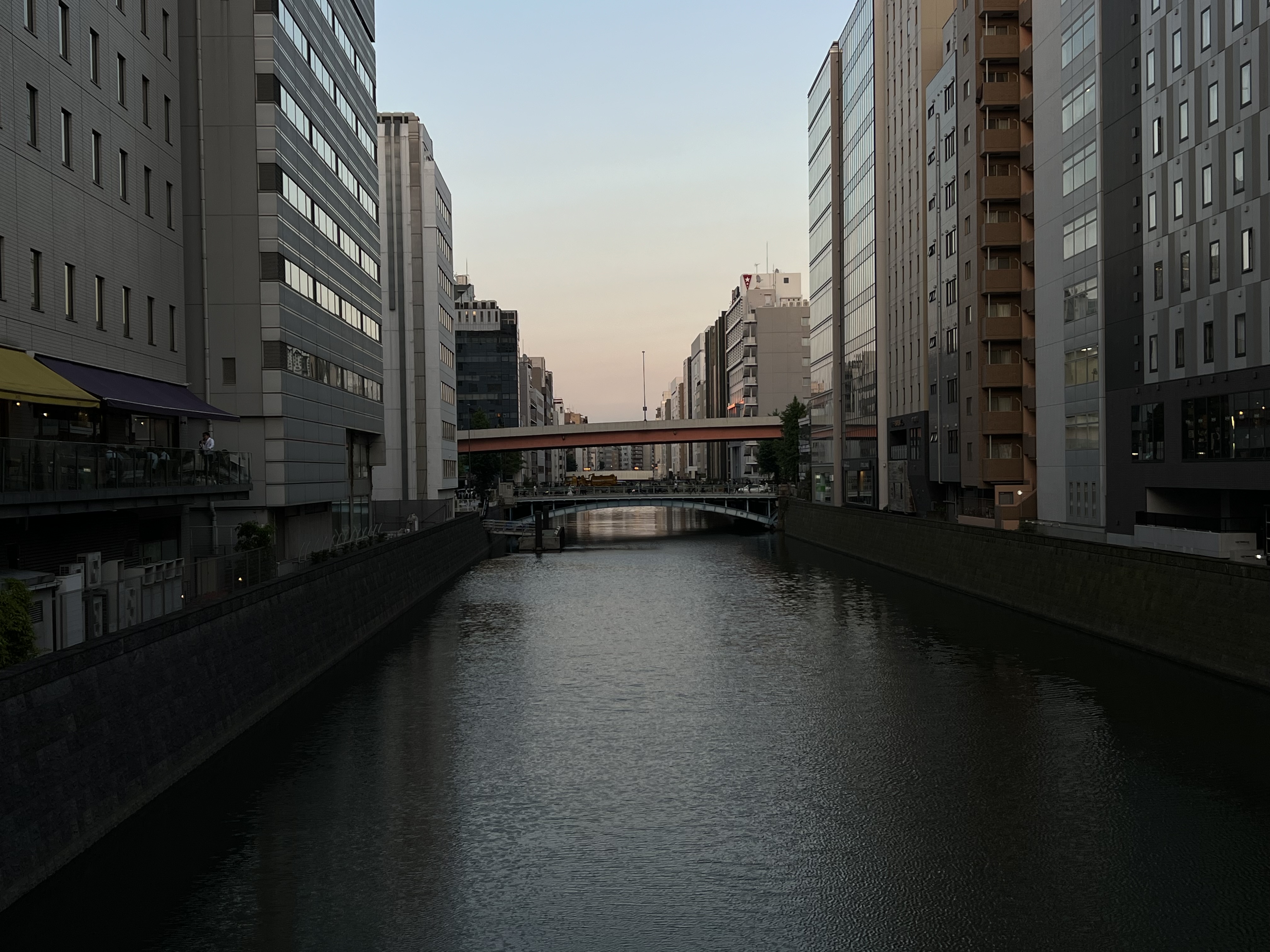 Bridge Visit